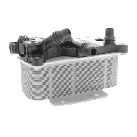 BMW Oil Cooler, automatic transmission  - VEMO V20-60-0059