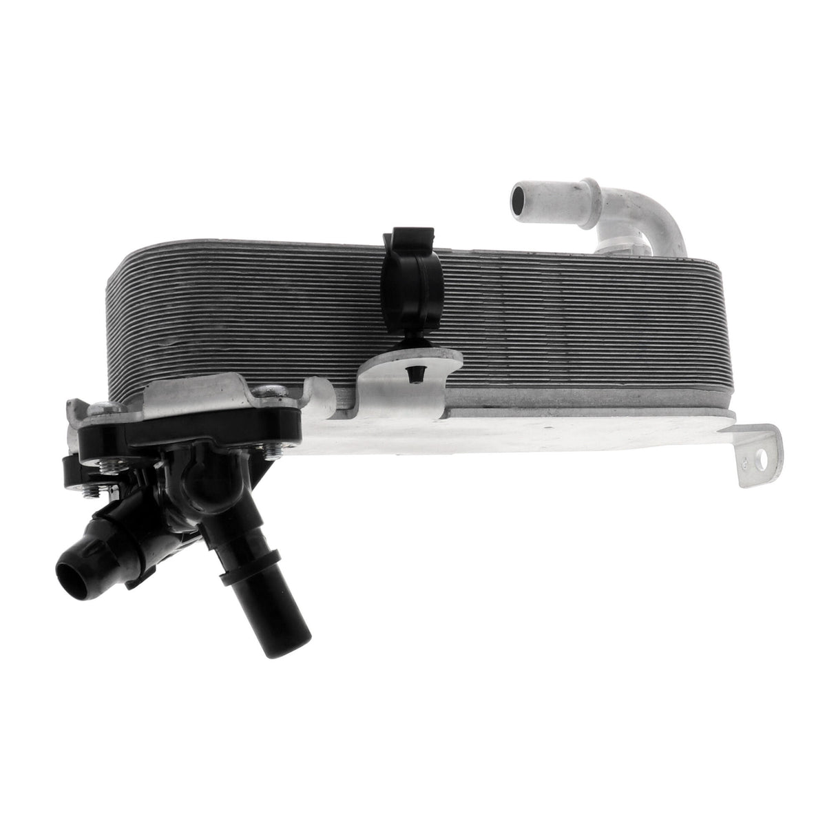 BMW Oil Cooler, automatic transmission  - VEMO V20-60-1660