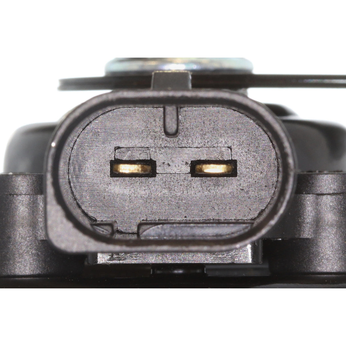 BMW Signal Horn  - VEMO V20-77-0311