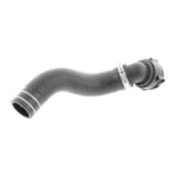 FIAT Radiator Hose  - VAICO V24-0833