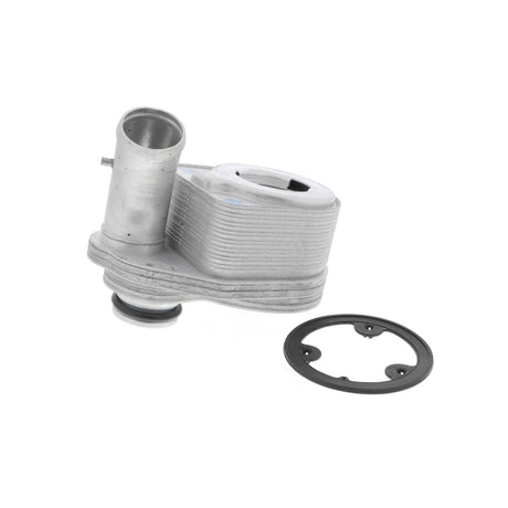 FIAT Oil Cooler, engine oil  - VEMO V24-60-0011