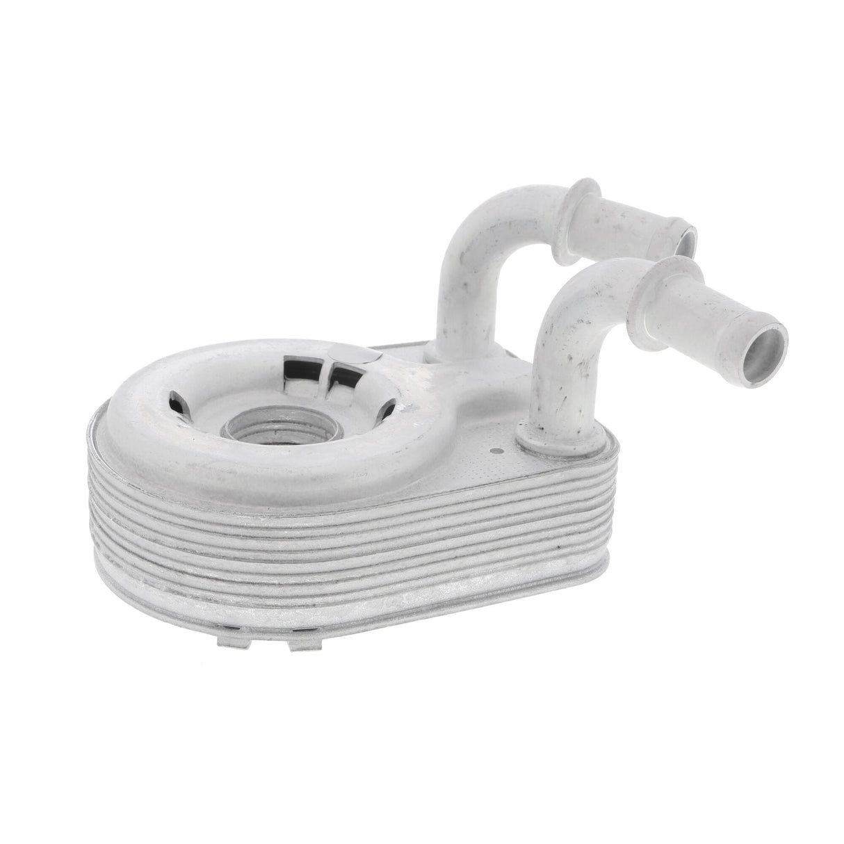 FIAT Oil Cooler, engine oil  - VEMO V24-60-0013