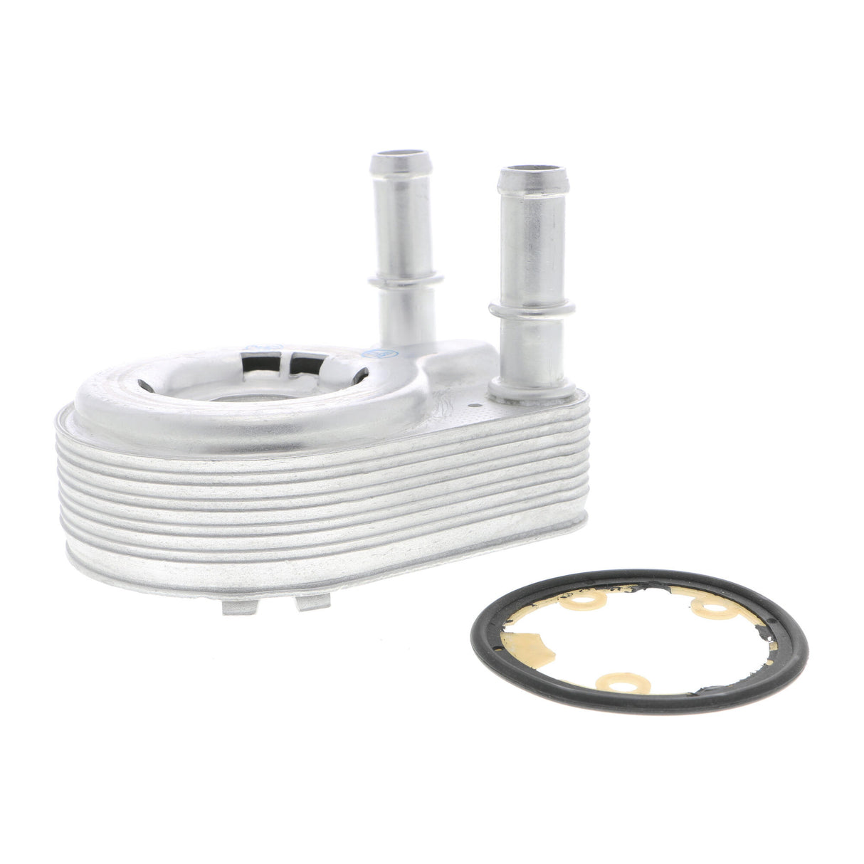 FIAT Oil Cooler, engine oil  - VEMO V24-60-0021