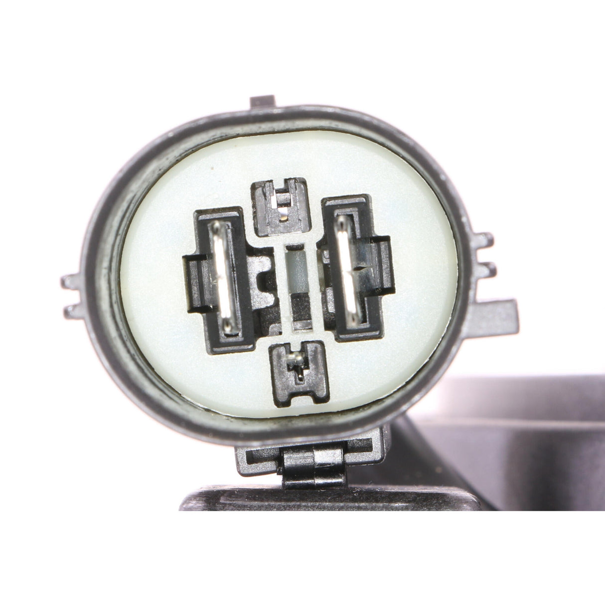 FORD Fan, engine cooling  - VEMO V25-01-1562