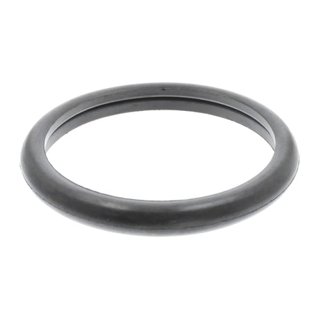 FORD Seal, thermostat  - VEMO V25-99-1744