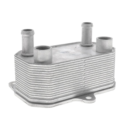 DODGE Oil Cooler, engine oil  - VEMO V33-60-0013