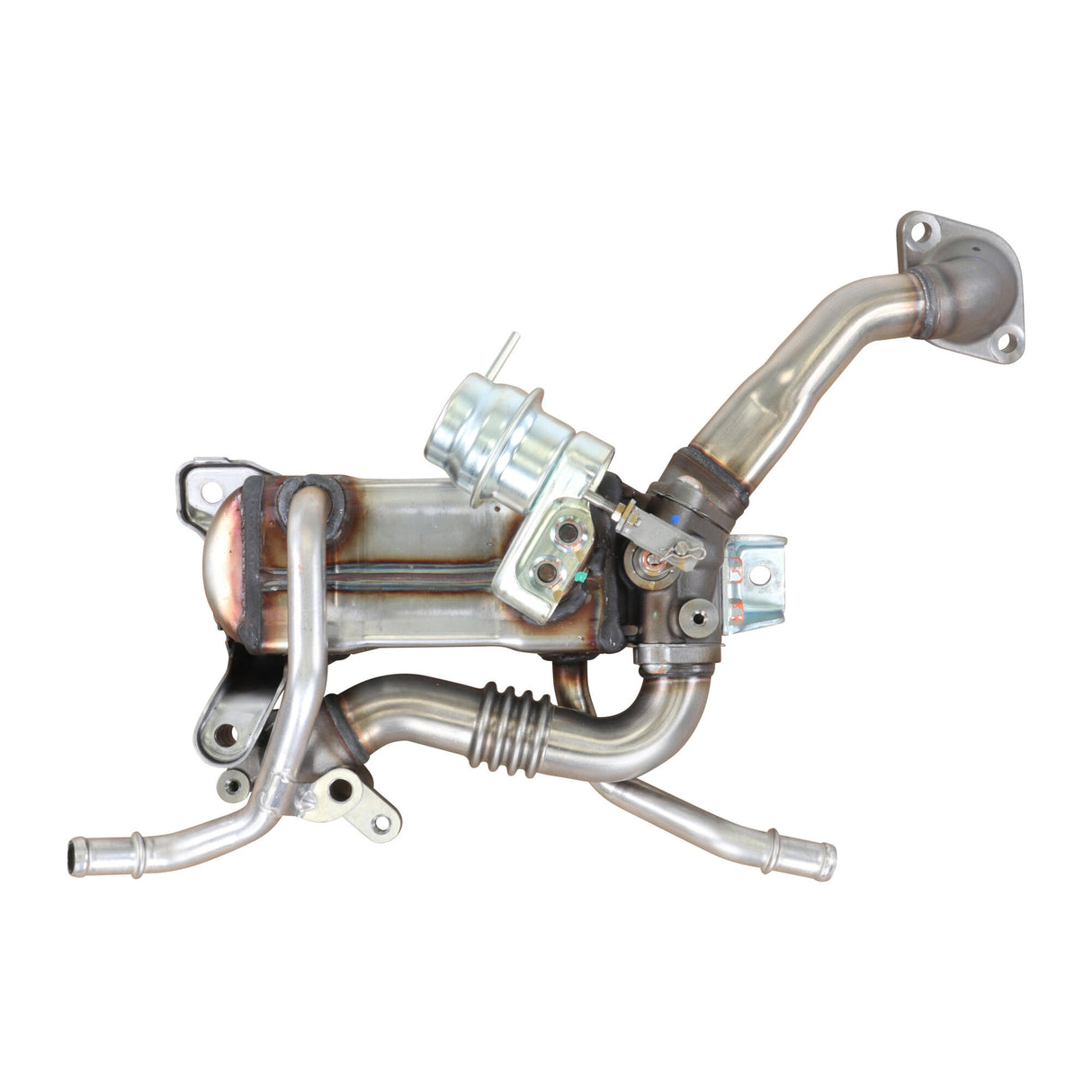 OPEL Cooler, exhaust gas recirculation  - VEMO V40-63-0065