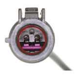 JAGUAR Wheel Bearing Kit  - VAICO V41-0023