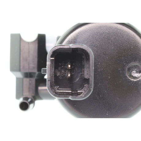 CITROËN Washer Fluid Pump, window cleaning  - VEMO V42-08-0004