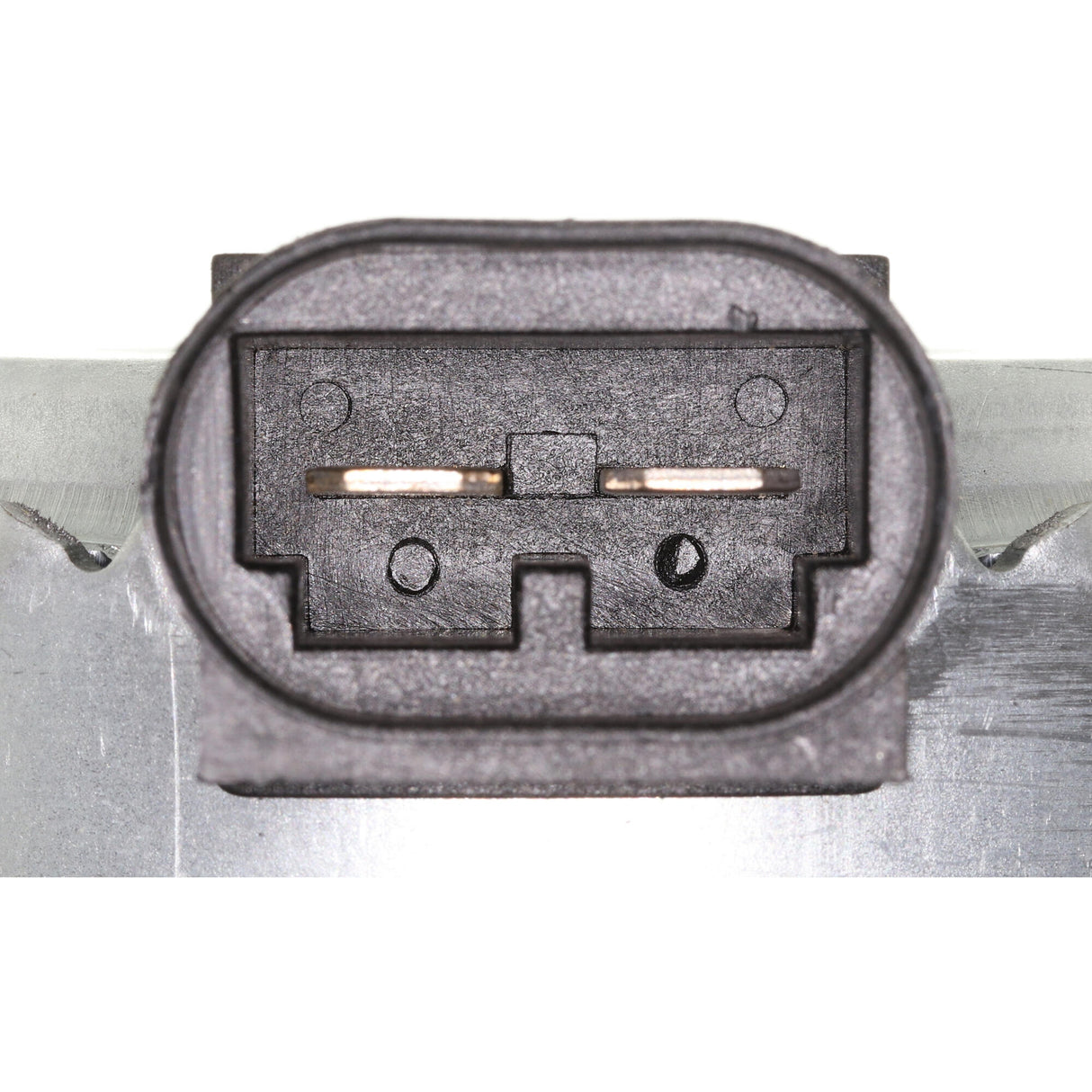 RENAULT Fan, engine cooling  - VEMO V46-01-1304