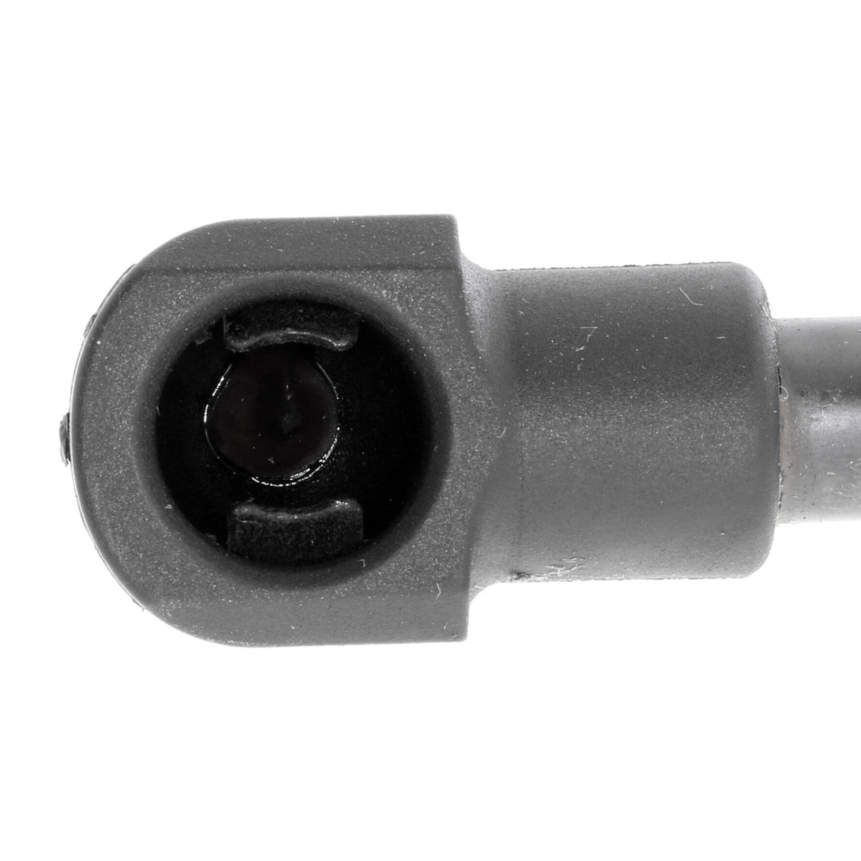 RENAULT Gas Spring, boot/cargo area  - VAICO V46-0669