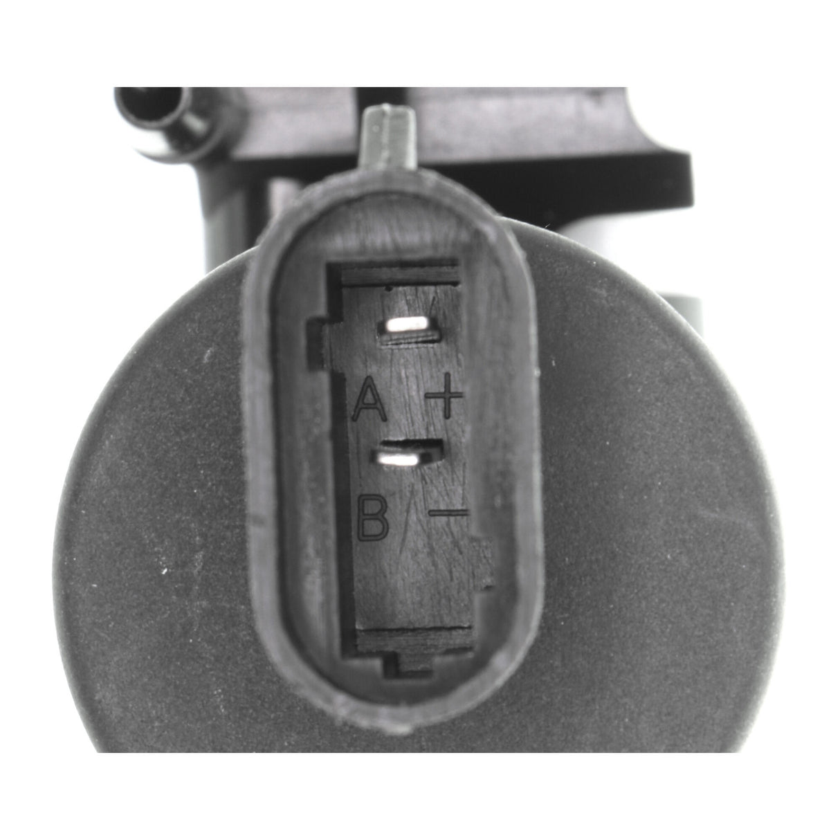 RENAULT Washer Fluid Pump, window cleaning  - VEMO V46-08-0010