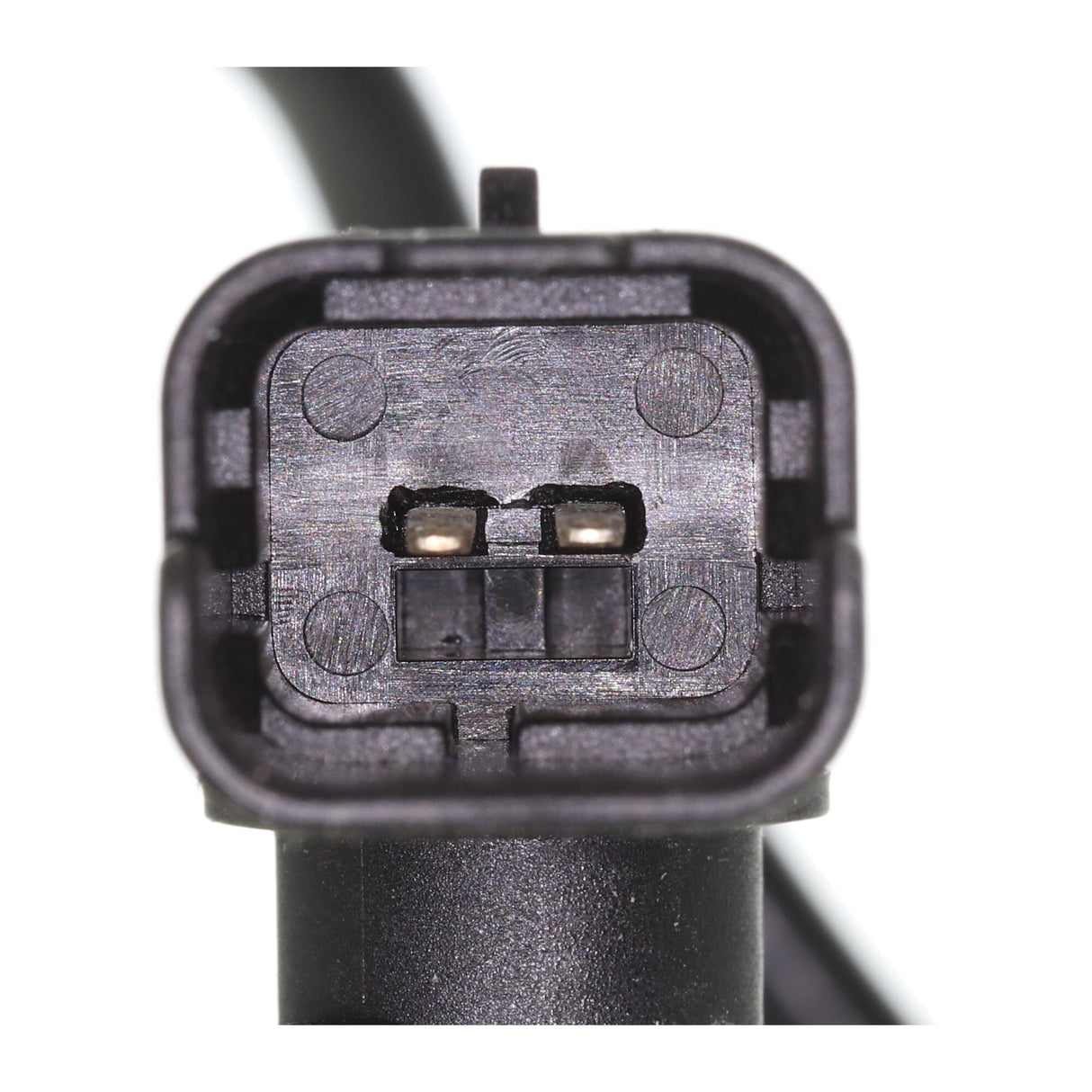 RENAULT Hose, fuel overflow  - VAICO V46-1208