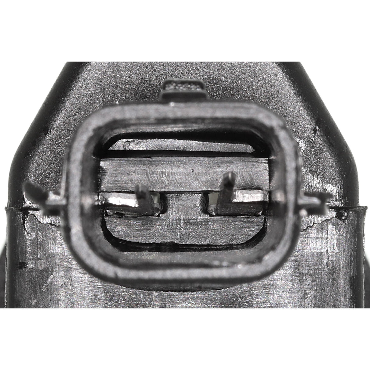 RENAULT Licence Plate Light  - VEMO V46-84-0005