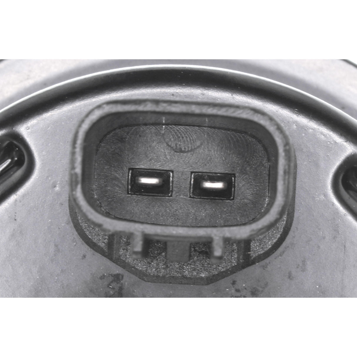 GENERAL MOTORS Sensor, wheel speed  - VEMO V51-72-0081