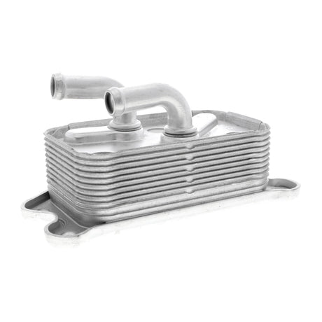 VOLVO Oil Cooler, engine oil  - VEMO V95-60-0013