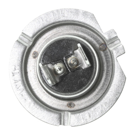 UNIVERSAL Bulb  - VEMO V99-84-0002