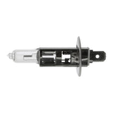 UNIVERSAL Bulb  - VEMO V99-84-0012