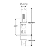 UNIVERSAL Bulb  - VEMO V99-84-0012