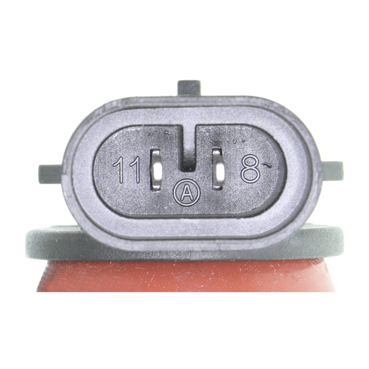 UNIVERSAL Bulb, headlight  - VEMO V99-84-0079