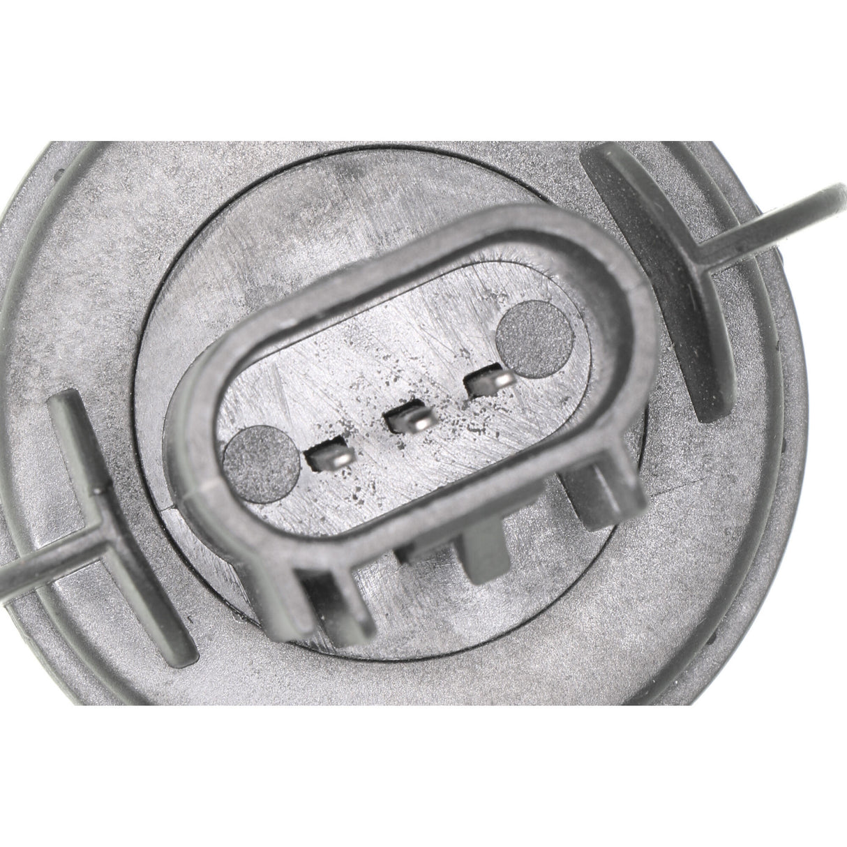 UNIVERSAL Bulb, headlight  - VEMO V99-84-0083