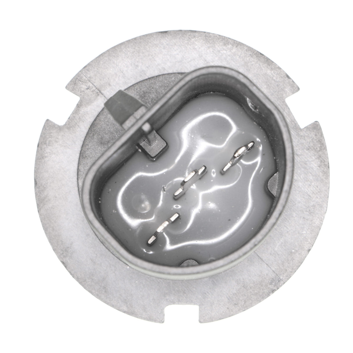 UNIVERSAL Bulb, headlight  - VEMO V99-84-0084