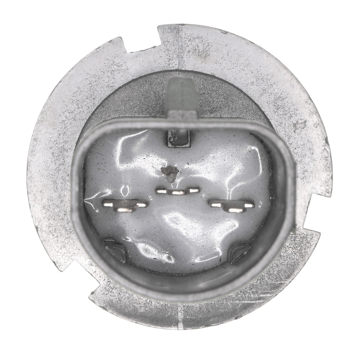 UNIVERSAL Bulb, headlight  - VEMO V99-84-0085
