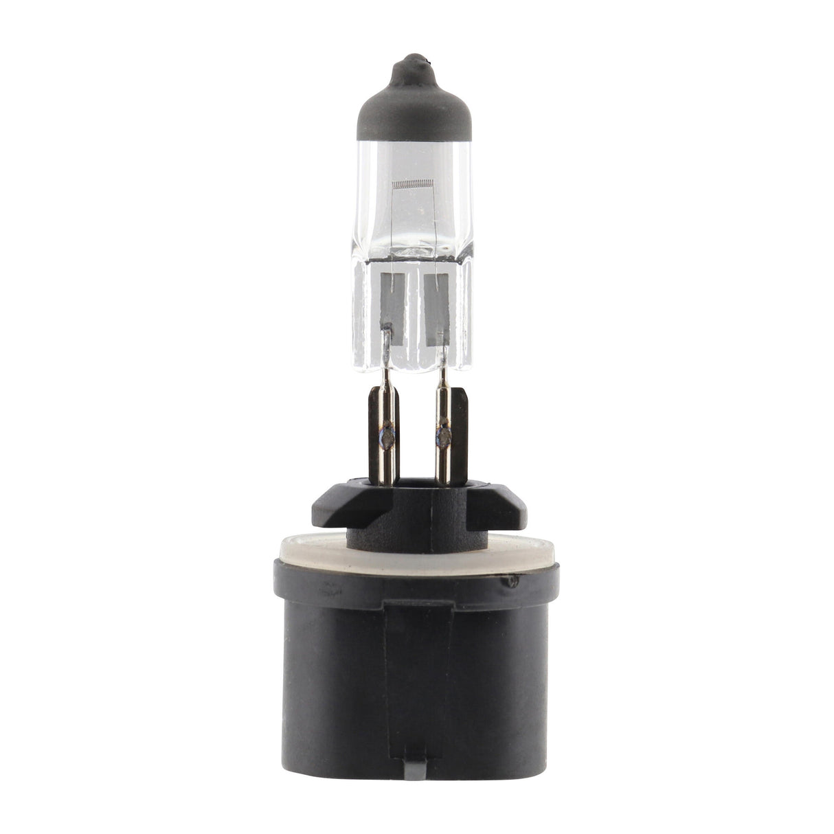 UNIVERSAL Bulb, headlight  - VEMO V99-84-0086