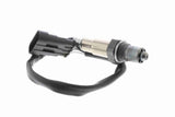 Oxygen Sensor - V24-76-0001