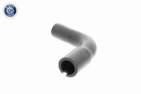 Hose, crankcase ventilation - V40-1991