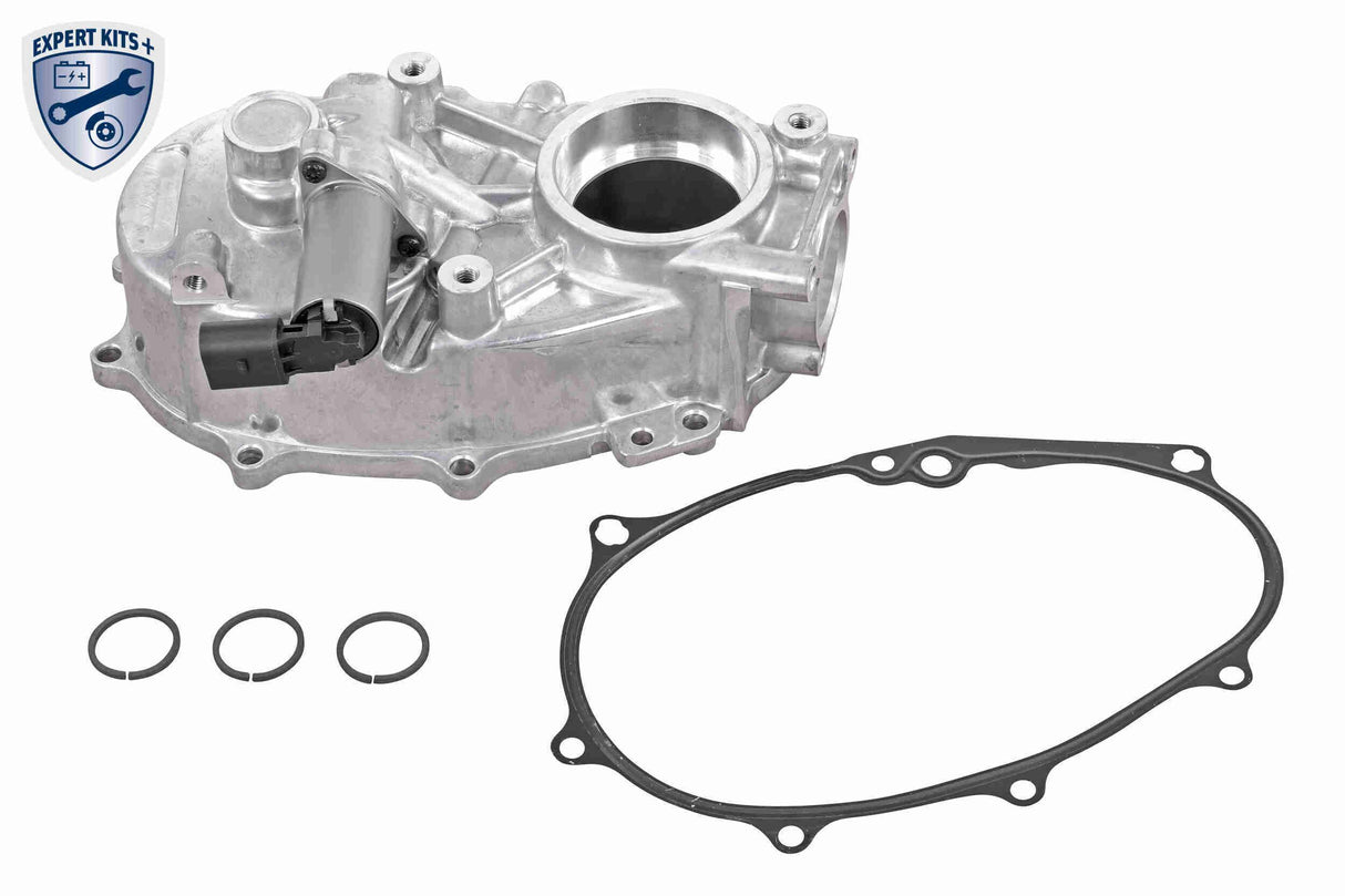 Timing Case Cover - V10-5500