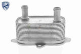 Oil Cooler, engine oil - V15-60-6091