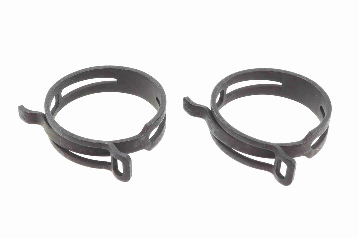 Radiator Hose - V20-4244
