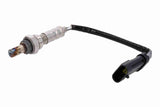 Oxygen Sensor - V46-76-0011