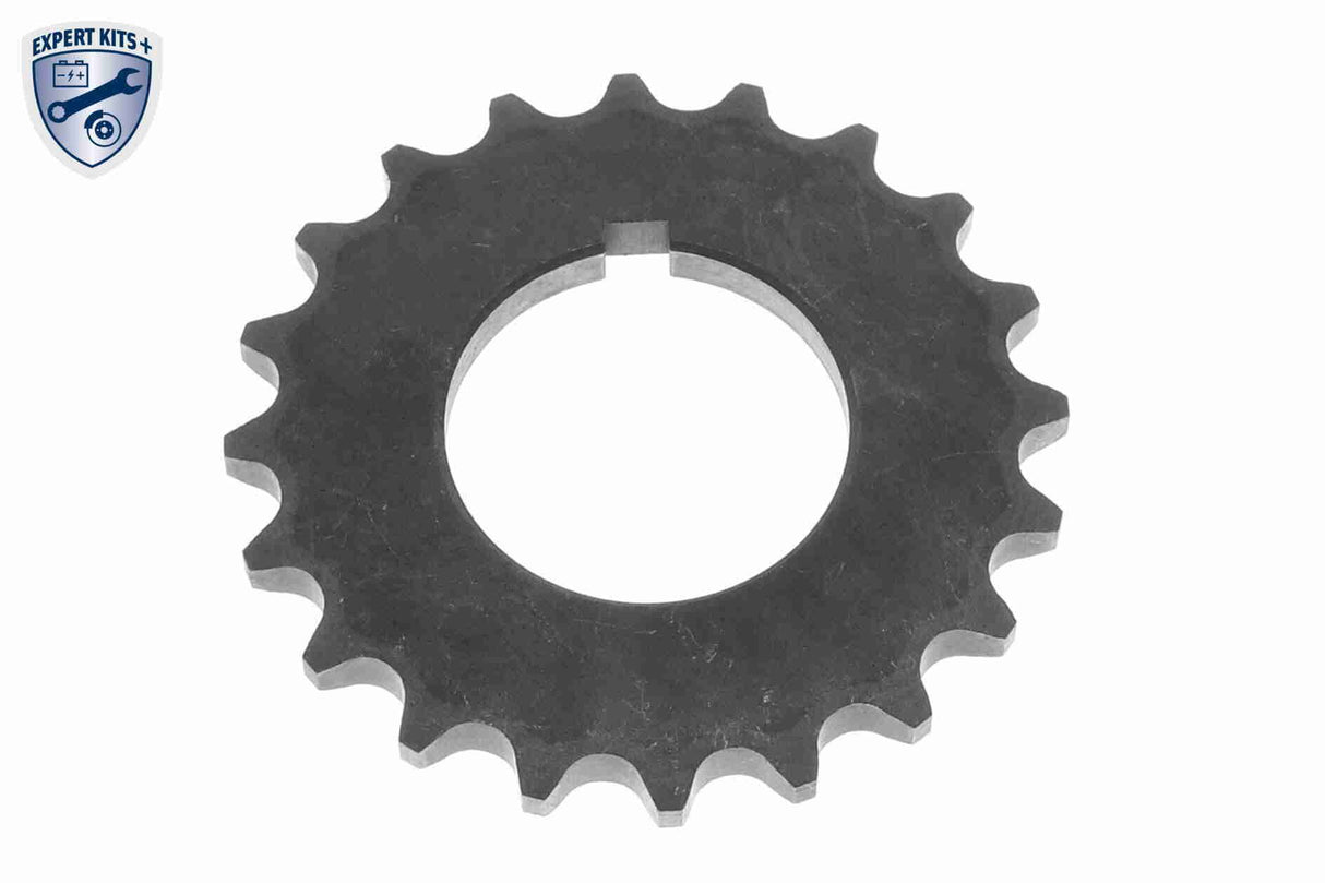 Timing Chain Kit - V10-10008