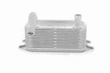 Oil Cooler, engine oil - V95-60-0020