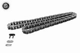 Timing Chain - V30-0413