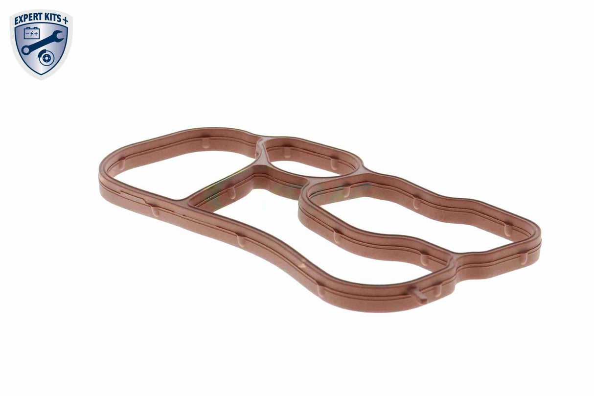 Gasket, oil cooler - V15-60-90015