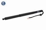 Electric Motor, tailgate - V10-55-0042