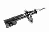 Shock Absorber - V24-0166