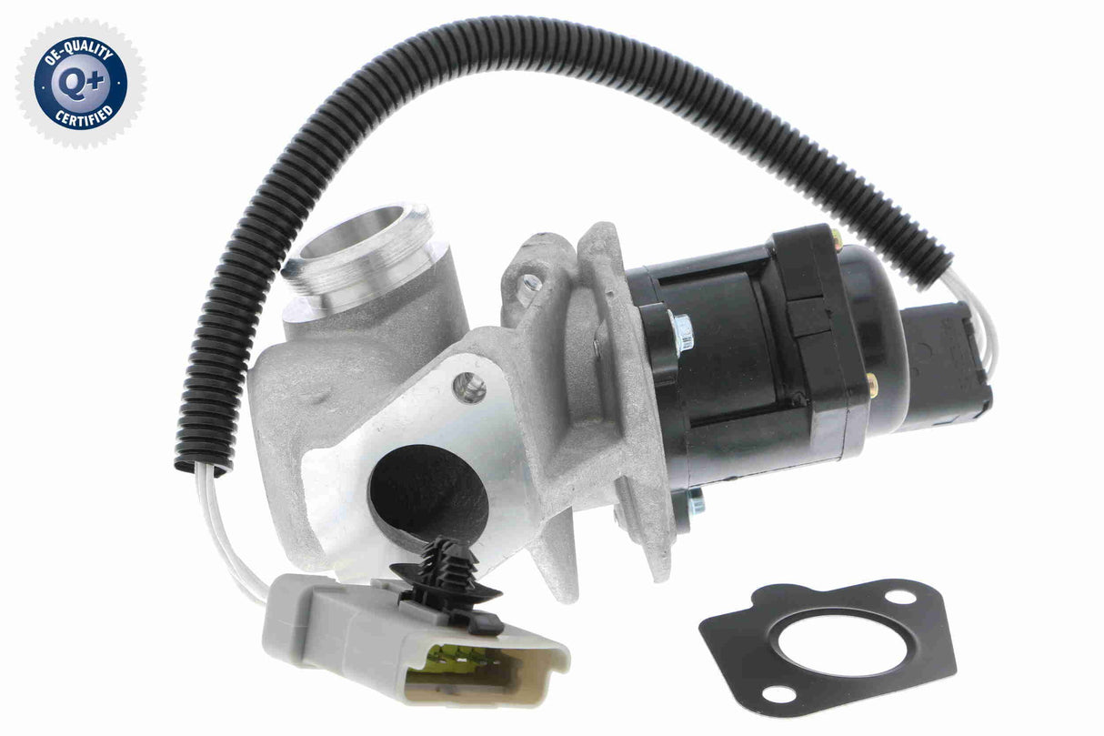 Valve, exhaust gas recirculation - V25-63-0007