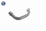Radiator Hose - V20-3244
