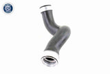 Charge Air Hose - V10-3815