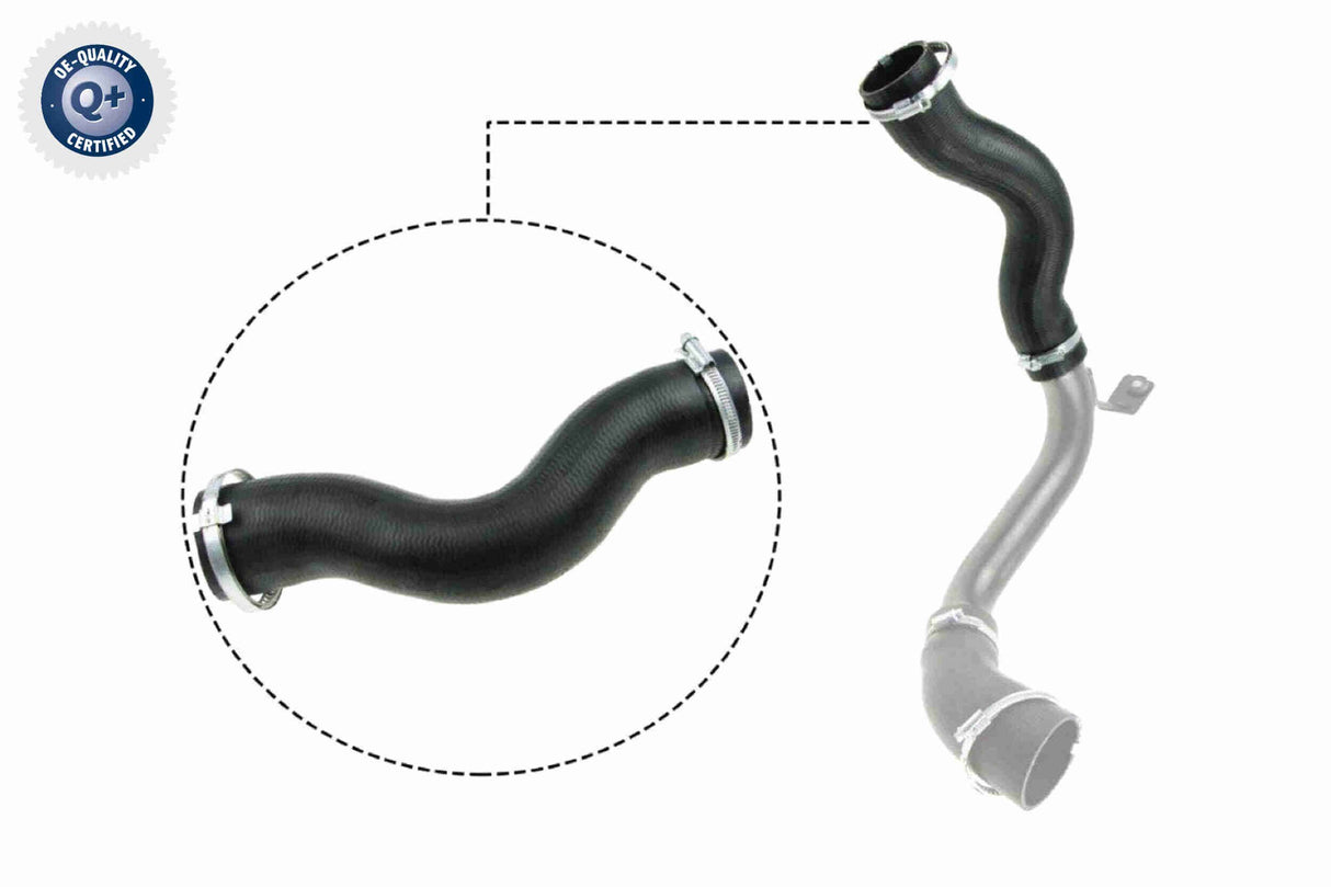 Charge Air Hose - V25-1030