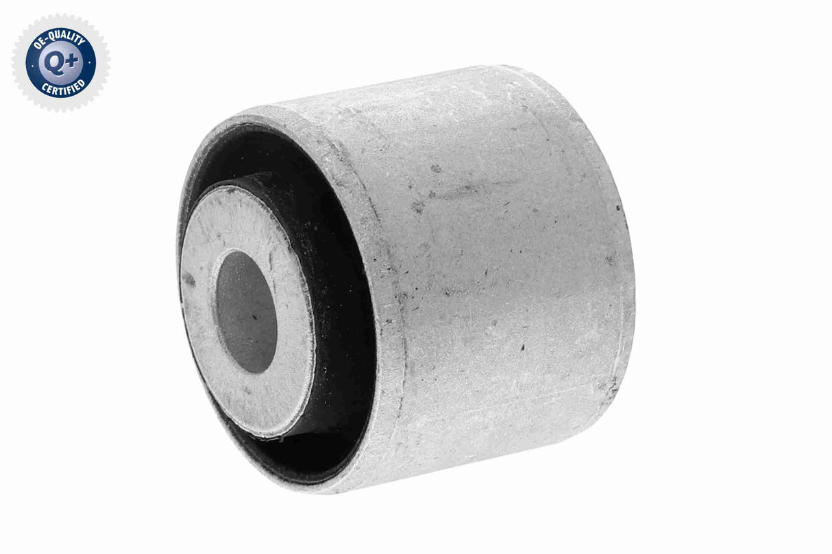 Mounting, control/trailing arm - V20-4566