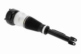 Air Suspension Strut - V30-50-0044