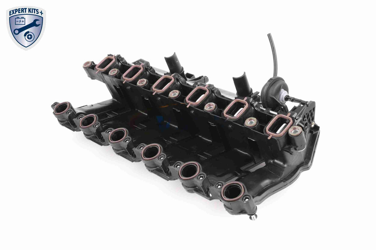 Intake Manifold Module - V20-3002