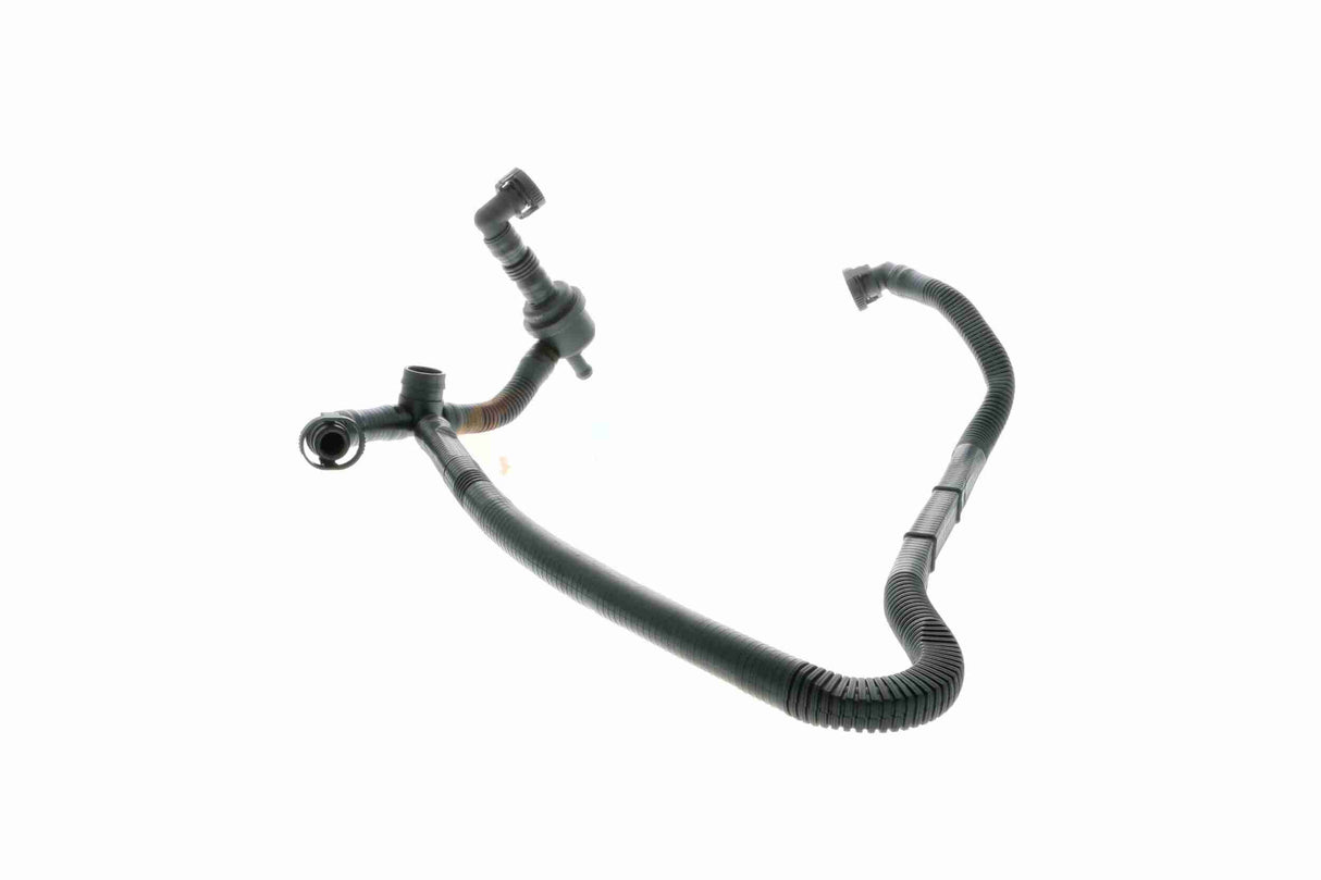 Hose, crankcase ventilation - V10-2677