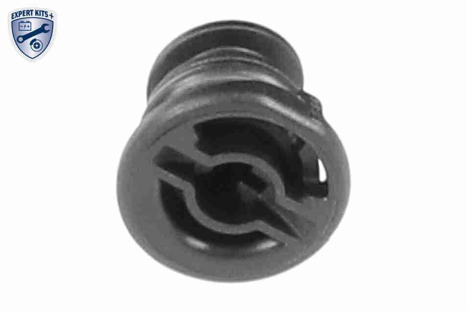 Oil Sump - V10-5578