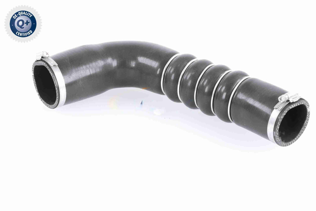 Charge Air Hose - V10-3794